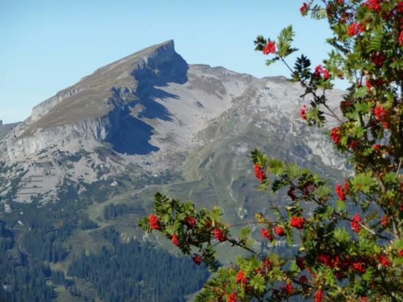 Der Hohe Ifen im Sommer