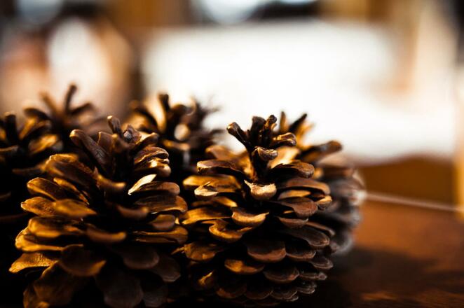 Hotel Eschenhof Stubai Tirol