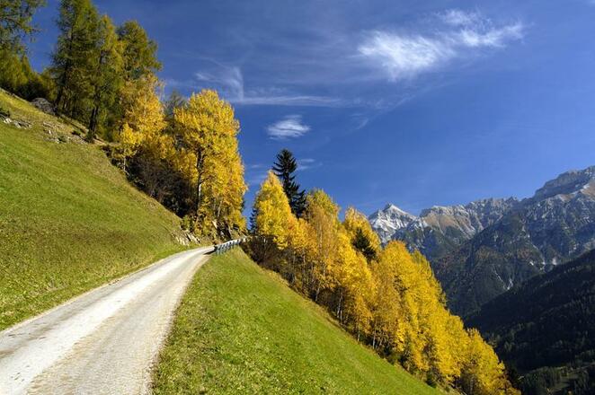Herbst