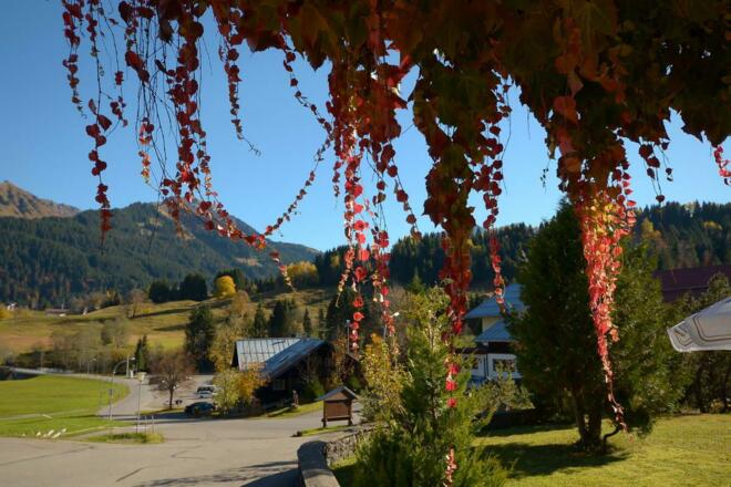 Blick vom Eingang zur Straße