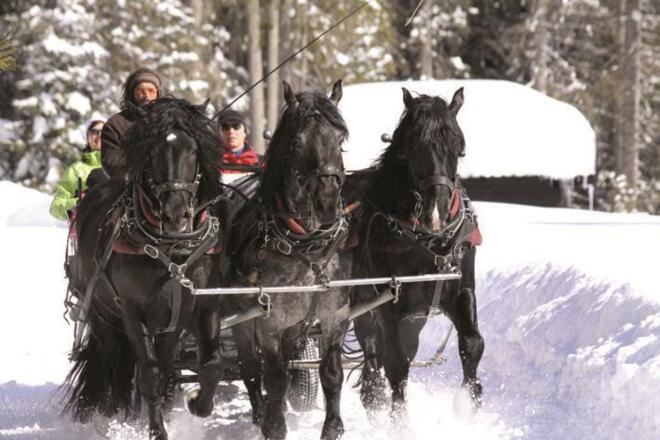 Pferdeschlittenfahrten nebenan Ferienhof Hammerer