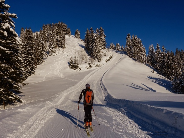 Abkürzung im Pulverschnee :-)