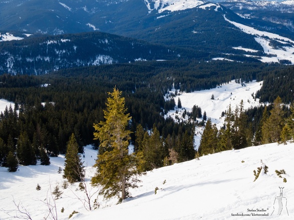 die Schneise hinunter