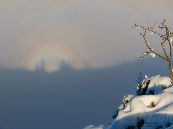 Lichterspiel (Halo) auf der Nebeldecke