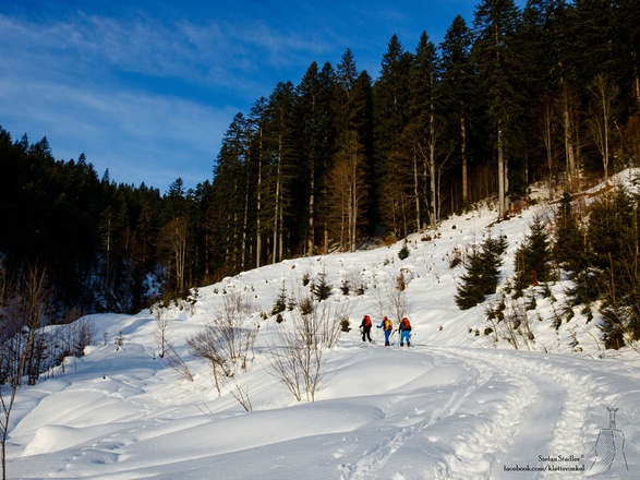 jenseits des Talgrund gemütlicher Aufstieg