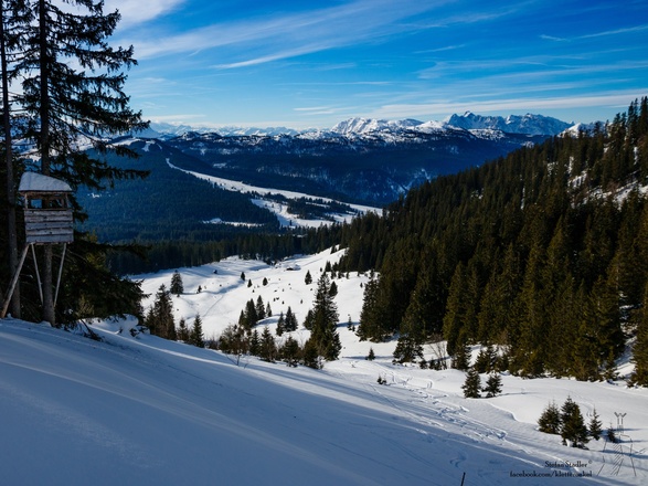 Finsterbachalm Almboden