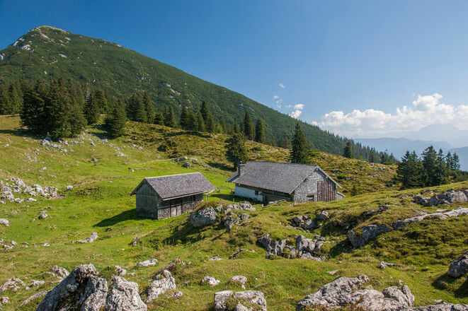 Kohleralm Inzell mit Blick Gamsknogel