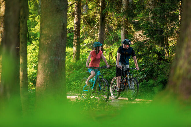 Inzell - MTB Tour durch Wald
