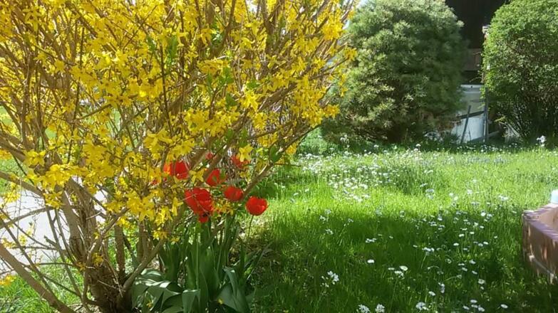 Frühling