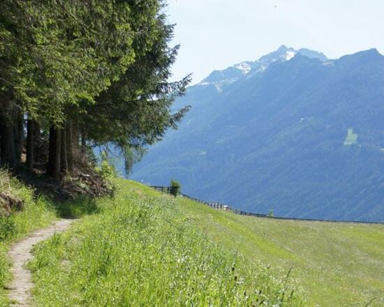 Wanderwege am Appartement Riedhof