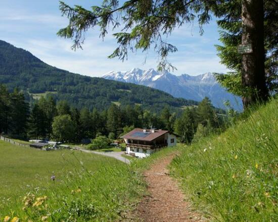 Natur am Appartement Riedhof