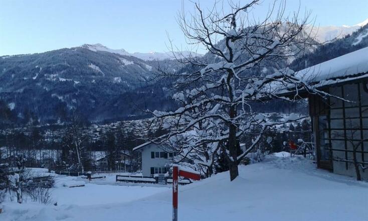 Aussicht von der Einfahrt