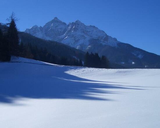 Aussicht vom Appartement Riedhof