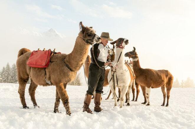 Lamatrekking Kristberg