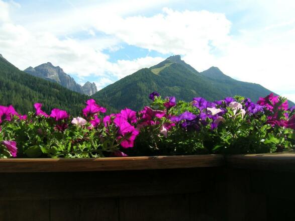 Haus Raffl Sonja Aussicht Balkon