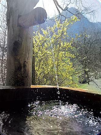 Wasser