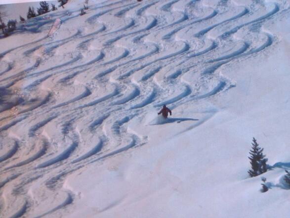 563375_486722754726607_1037706424_n[1]