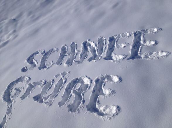 269412_426724560726427_1694414226_n[1]