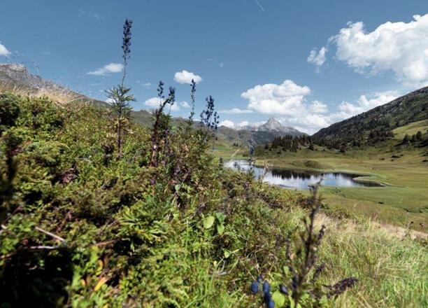 Bergrösli Kalbelesee