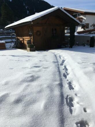 Garten vom Haus Salner