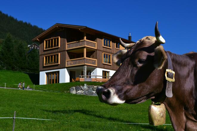 Ahorn Chalet mit Haustier