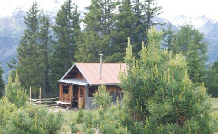 S' Bergle vom Bichlhof