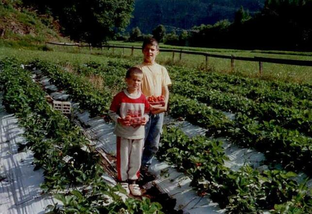 Erdbeerfelder am Michelas Hof