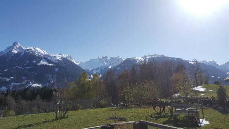 Traumhafter Rundumblick aus dem Garten