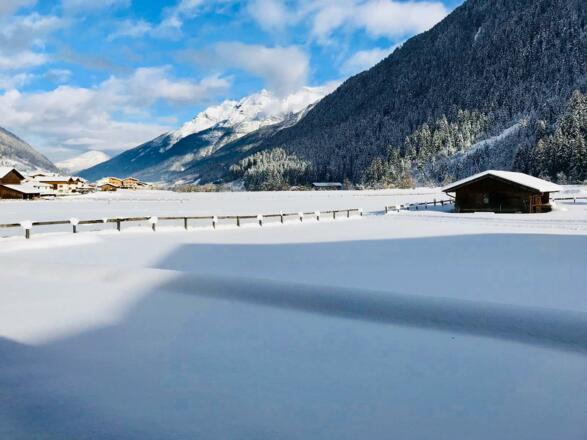 b481f545-1a29-4c57-b460-9b299071c152