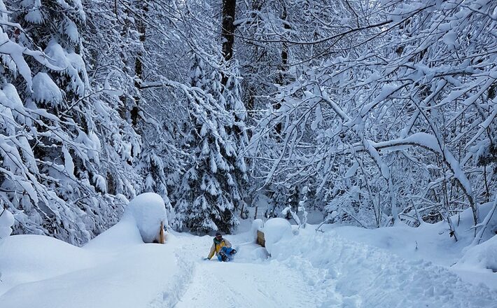 Abfahrt Rodelbahn Vorderbrand