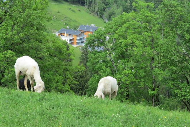 App. Panoramblick