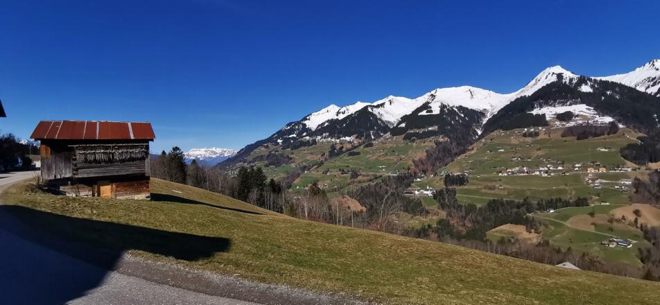 Frühjahr auf dem Weg nach Wudescherberg