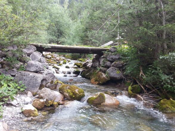 Marulbach in Fuchswald