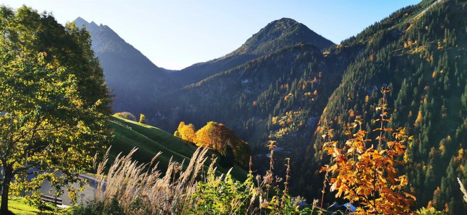 Der Herbst hält Einzug 2