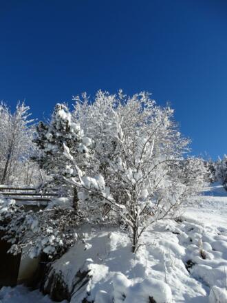 Im Winter vor der Haustüre