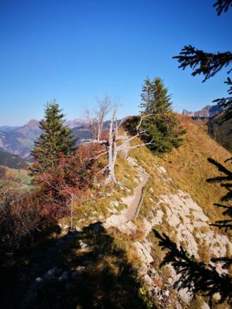 Wandern am Glatthorn 1