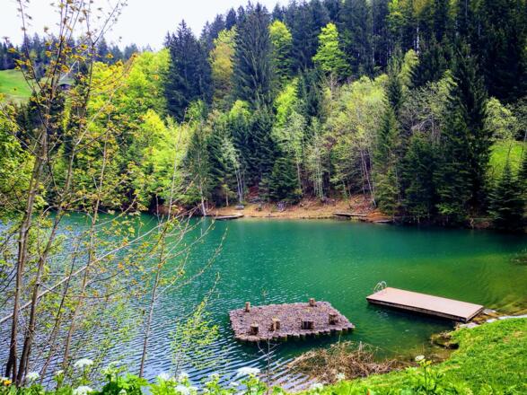 Idylle am Seewaldsee