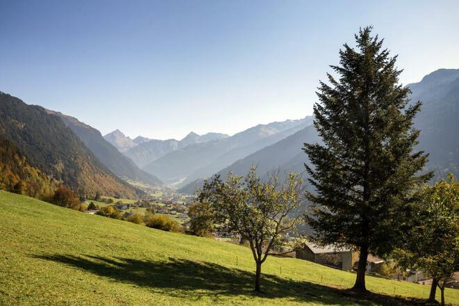 Kräuterwanderung Montiel (c) Andreas Haller - Mont