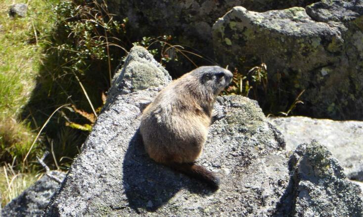 Familienurlaub-im-Stubai-Sommerurlaub-im-Stubaital