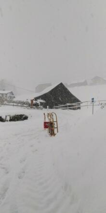 IMG-20190105-WA0012_resized_20190105_043212459