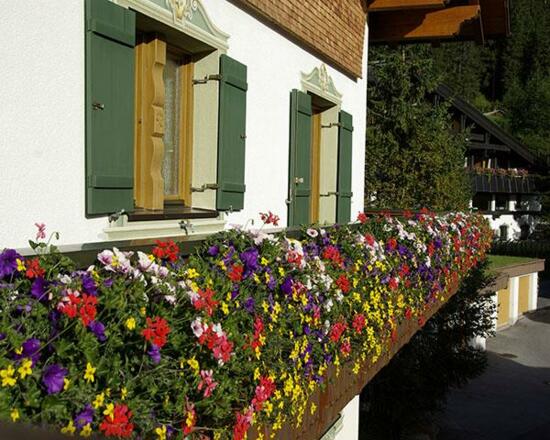 Hotel Pension Garni Alpenrose
