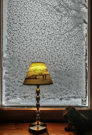 AdlerHotelPalmaFensterWintermärchen