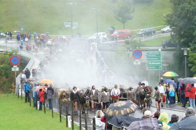 Viehscheid in Riezlern