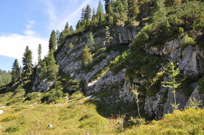 Felswand aus Dachsteinkalk