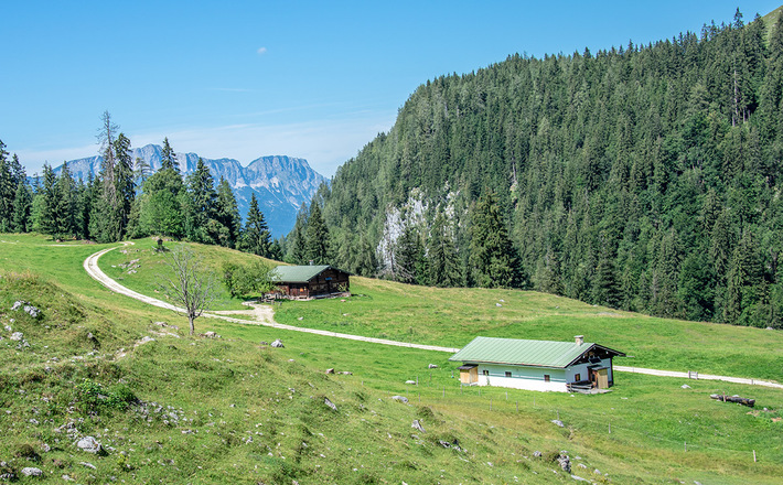Büchsenalm am Jenner