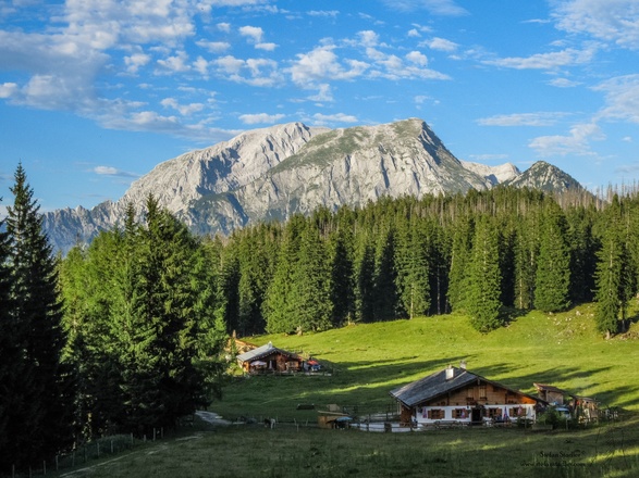 schöne Almwiese mit Hohem Göll auf der anderen Talseite