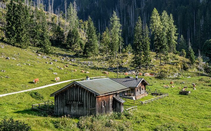 Die Gotzentalalm auf dem Weg zur Gotzenalm