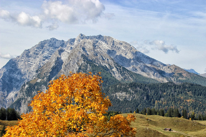 Büchsenalm vor dem Watzmann