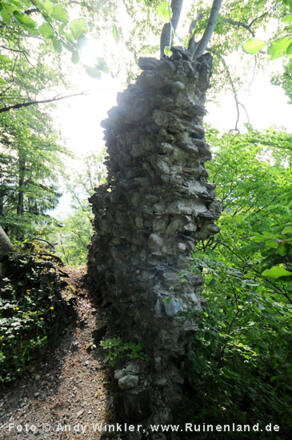 Weiler, Burgruine Alt Montfort
