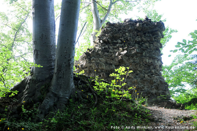 Weiler, Burgruine Alt Montfort